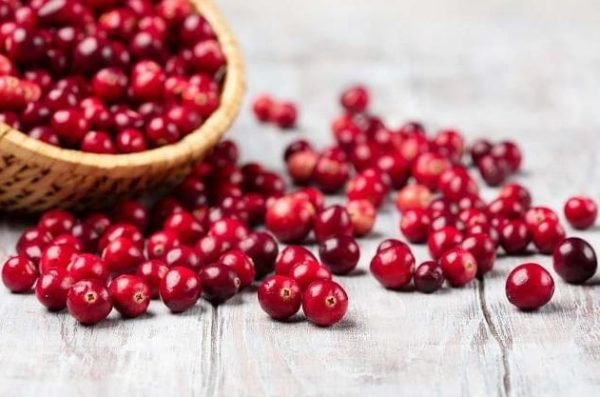 Jus Cranberry, Obat Herbal Alami Dalam Kehidupan Sehari-hari